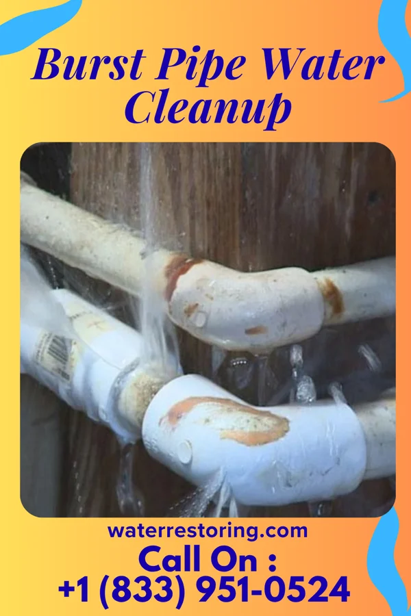 Burst Pipe Water Cleanup in Haigler, NE