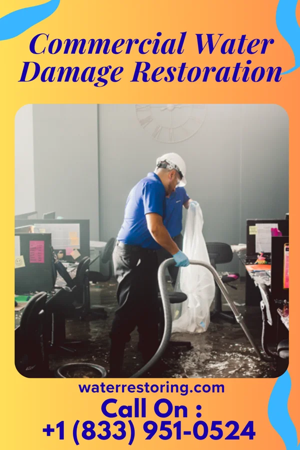 Commercial Water Damage Restoration in Haigler, NE